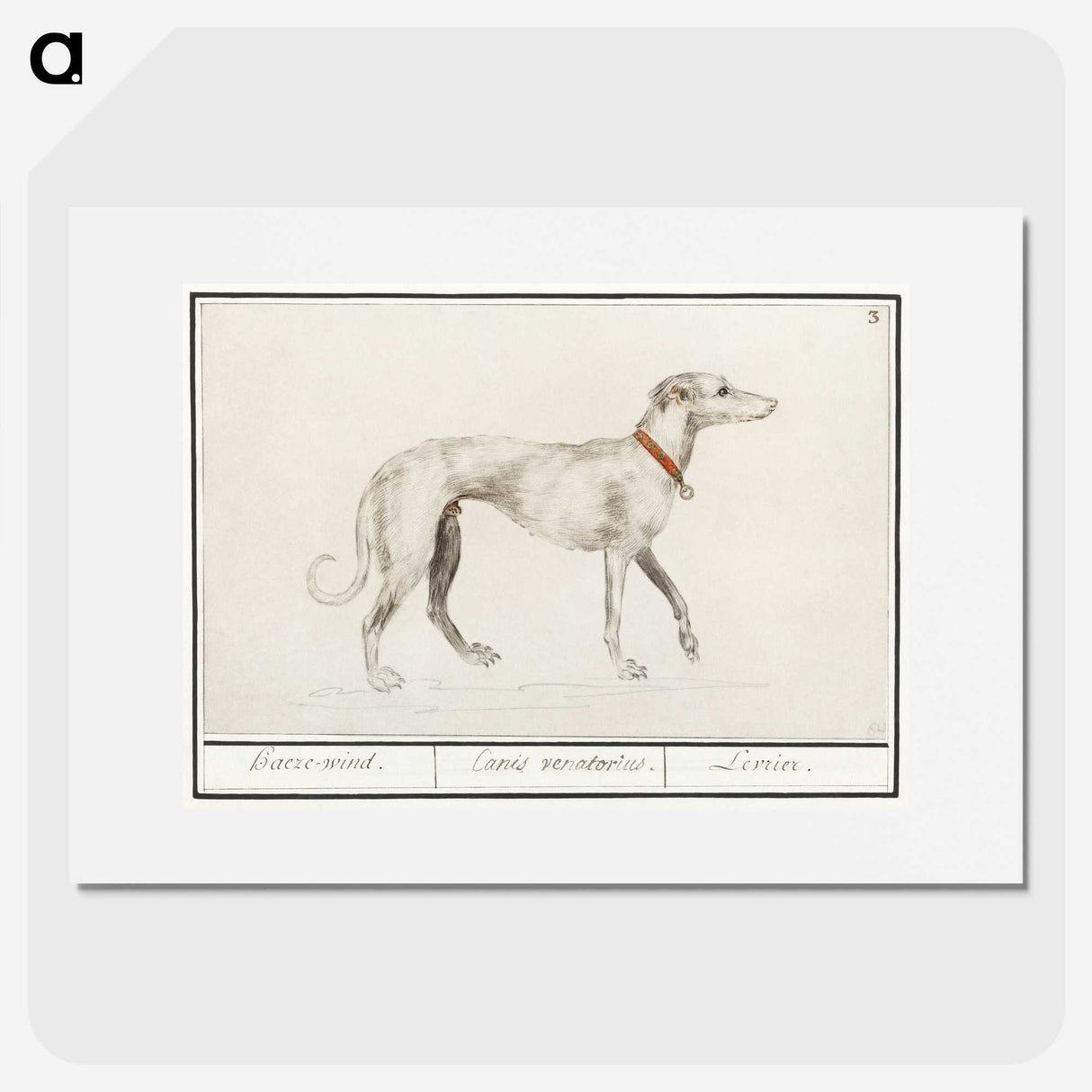 2-2_Anselmus-Boetius-de-Boodt_picture