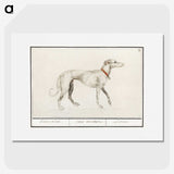 2-2_Anselmus-Boetius-de-Boodt_picture