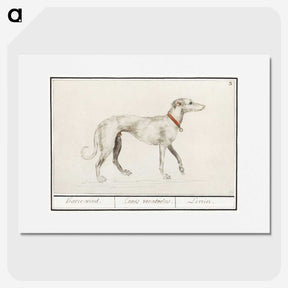 2-2_Anselmus-Boetius-de-Boodt_picture
