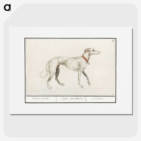 2-2_Anselmus-Boetius-de-Boodt_picture