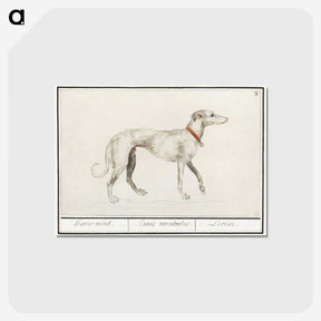 2-2_Anselmus-Boetius-de-Boodt_postcard