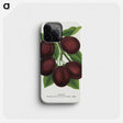 2-2_Botanical-Specimen-Plates_phone
