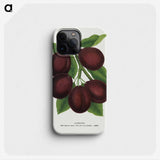 2-2_Botanical-Specimen-Plates_phone