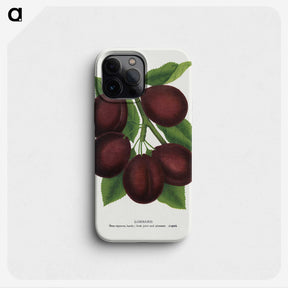 2-2_Botanical-Specimen-Plates_phone