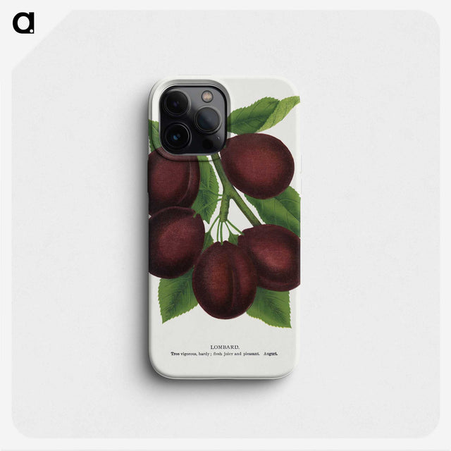 2-2_Botanical-Specimen-Plates_phone