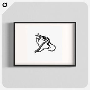 アートポスター-Numbat from Voyages Dans Les Deux Oceans, Atlantique Et Pacifique
 - 大英図書館 Poster.