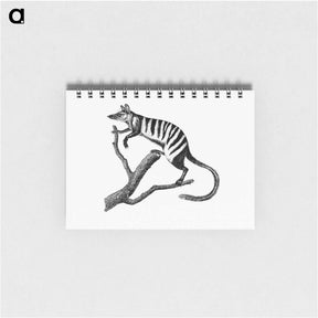アートメモ帳-Numbat from Voyages Dans Les Deux Oceans, Atlantique Et Pacifique
 - 大英図書館 Memo.