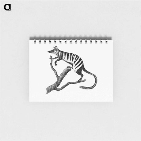 アートメモ帳-Numbat from Voyages Dans Les Deux Oceans, Atlantique Et Pacifique
 - 大英図書館 Memo.