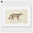 2-2_Charles-Hamilton-Smith_picture