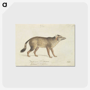 2-2_Charles-Hamilton-Smith_postcard