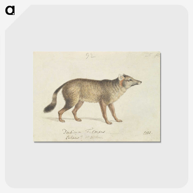 2-2_Charles-Hamilton-Smith_postcard