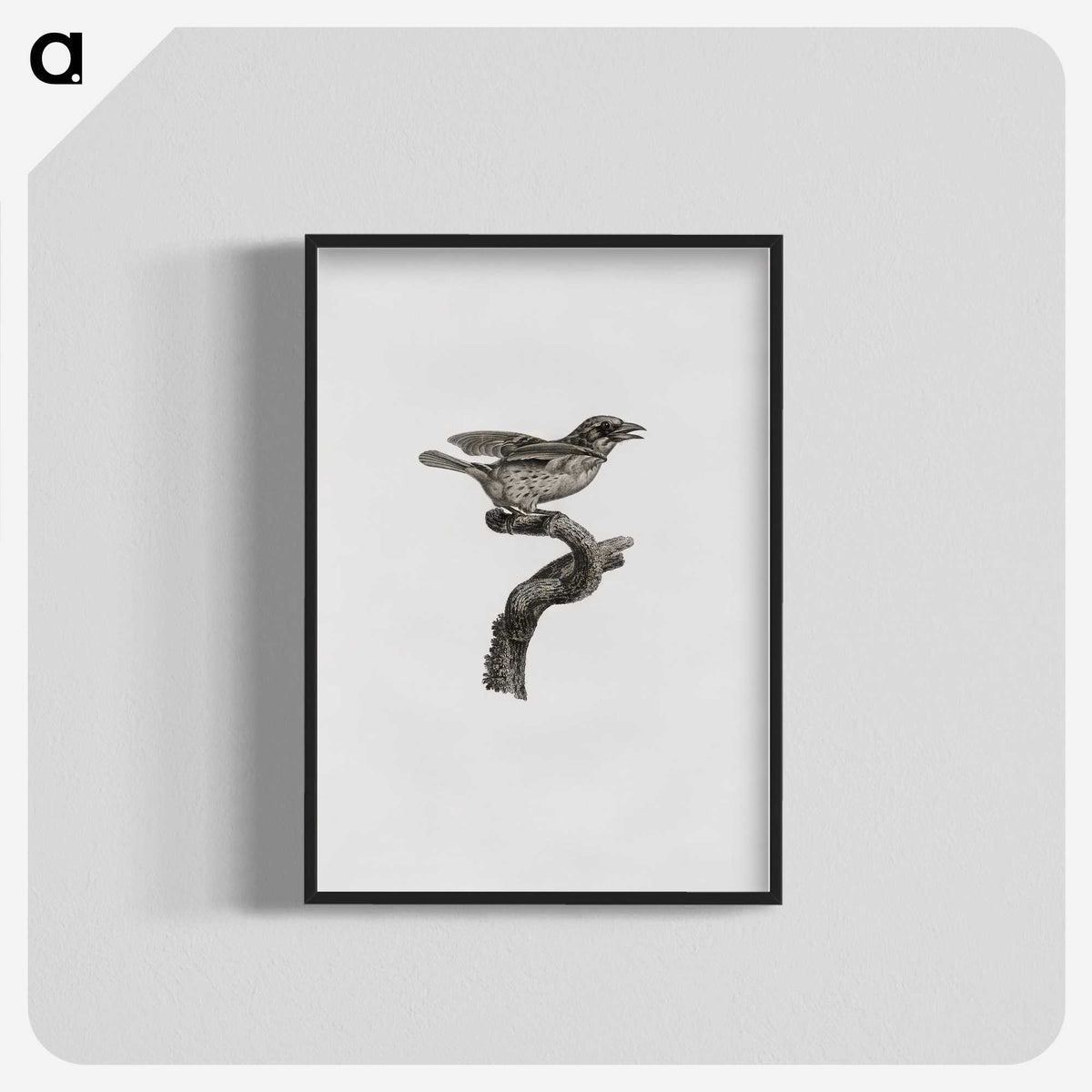 2-2_Des-Oiseaux-de-Paradis_blk-crop
