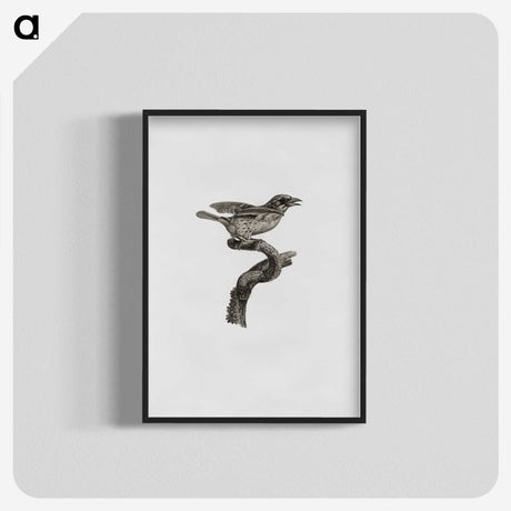 2-2_Des-Oiseaux-de-Paradis_blk-crop