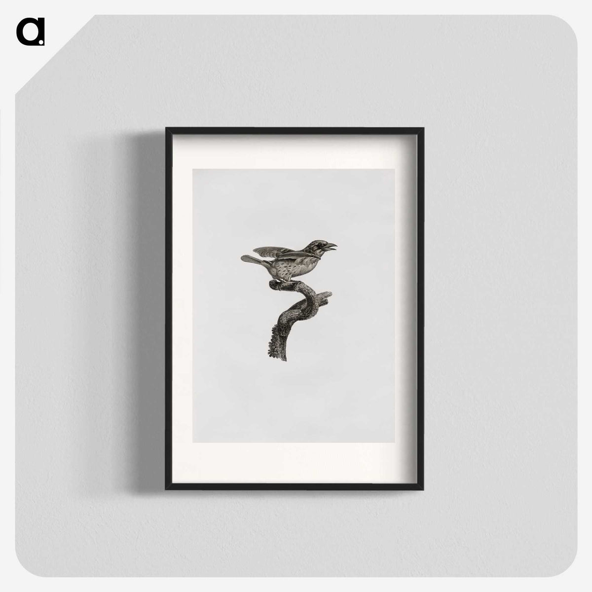 2-2_Des-Oiseaux-de-Paradis_blk