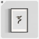 2-2_Des-Oiseaux-de-Paradis_blk