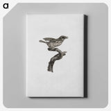 2-2_Des-Oiseaux-de-Paradis_canvas