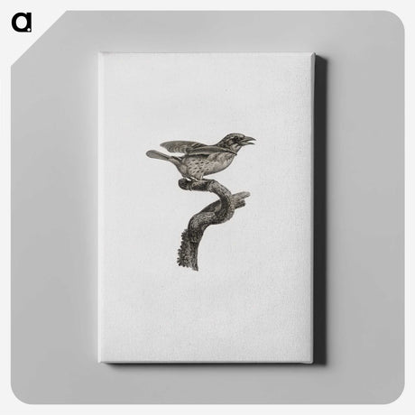 2-2_Des-Oiseaux-de-Paradis_canvas
