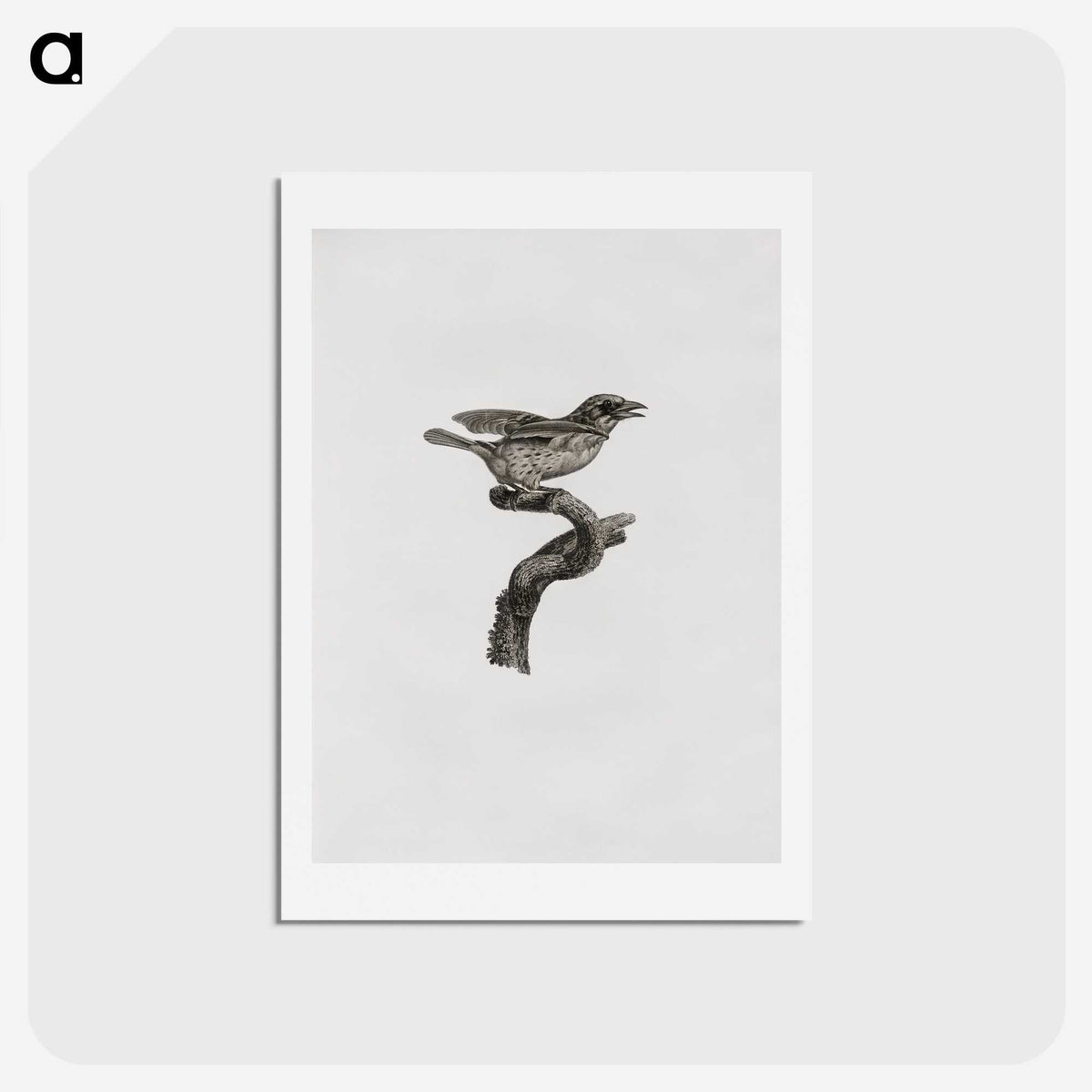 2-2_Des-Oiseaux-de-Paradis_hagaki
