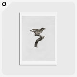 2-2_Des-Oiseaux-de-Paradis_hagaki