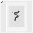 2-2_Des-Oiseaux-de-Paradis_picture