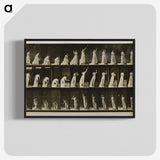 2-2_Eadweard-Muybridge_blk-crop