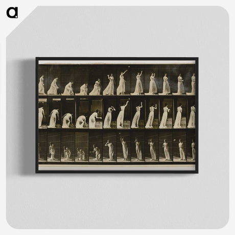 2-2_Eadweard-Muybridge_blk-crop