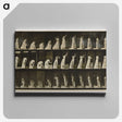2-2_Eadweard-Muybridge_canvas