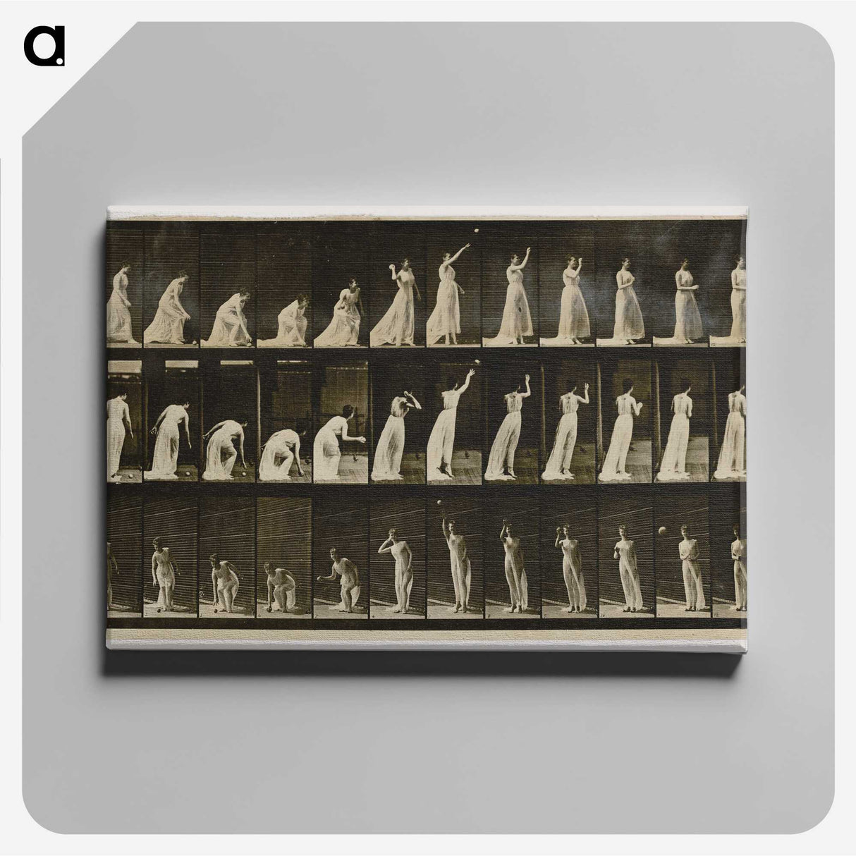 2-2_Eadweard-Muybridge_canvas
