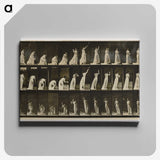 2-2_Eadweard-Muybridge_canvas