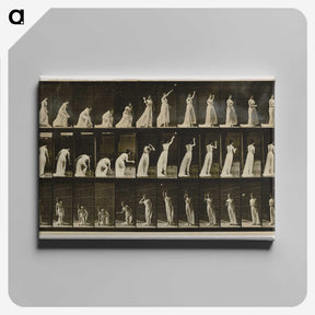 2-2_Eadweard-Muybridge_canvas