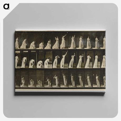 2-2_Eadweard-Muybridge_canvas