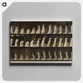 アートパネル-Woman Throwing a Ball
 - エドワード マイブリッジ Canvas.