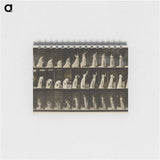 2-2_Eadweard-Muybridge_memo