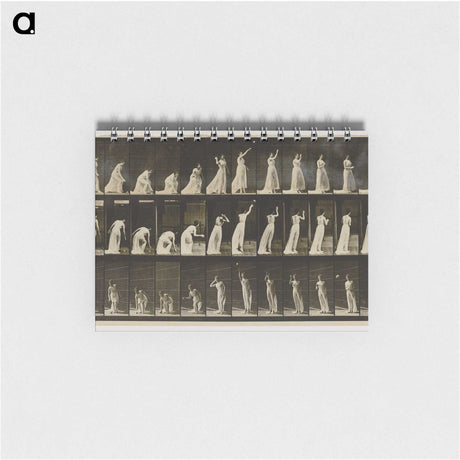2-2_Eadweard-Muybridge_memo