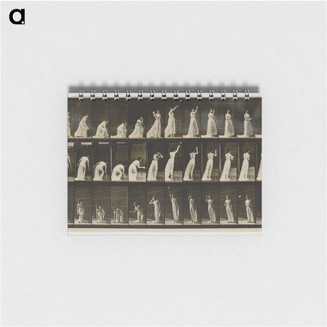 2-2_Eadweard-Muybridge_memo