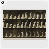 2-2_Eadweard-Muybridge_picture-crop