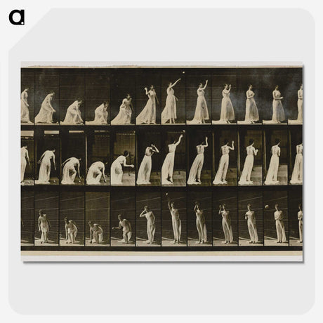 2-2_Eadweard-Muybridge_picture-crop