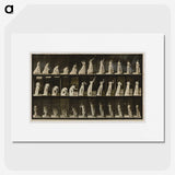 2-2_Eadweard-Muybridge_picture