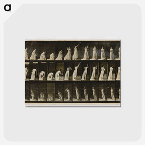 2-2_Eadweard-Muybridge_postcard