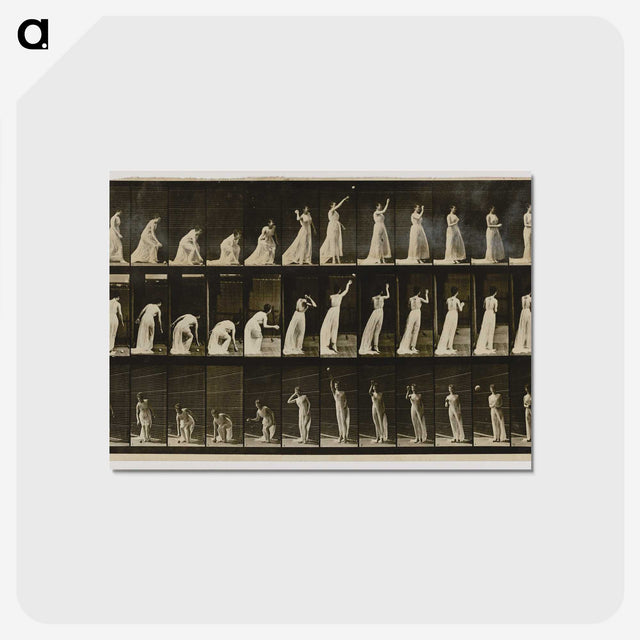 2-2_Eadweard-Muybridge_postcard