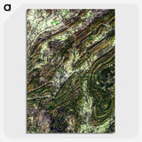 2-2_Earth-from-Above_picture-crop