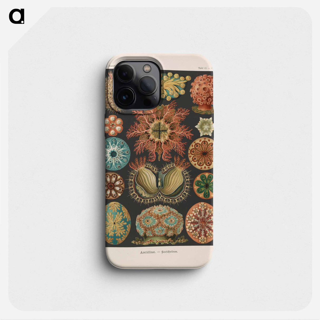 Marine life illustration - エルンスト ヘッケル Phone Case.