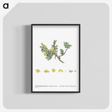 2-2_Histoire-des-Plantes-Grasses_blk-crop