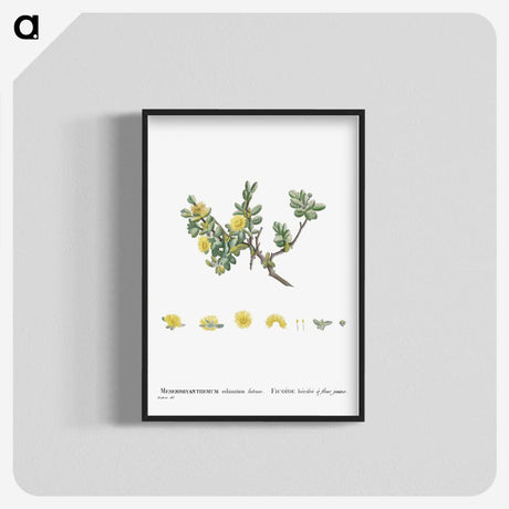 2-2_Histoire-des-Plantes-Grasses_blk-crop