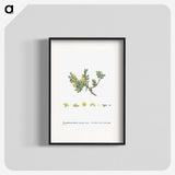 2-2_Histoire-des-Plantes-Grasses_blk