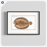 2-2_Ichtyologie-ou-Histoire-naturelle_blk
