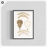 2-2_Indian-Zoology_blk-crop