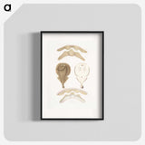 2-2_Indian-Zoology_blk