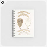 2-2_Indian-Zoology_memo