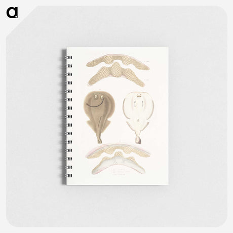 2-2_Indian-Zoology_memo